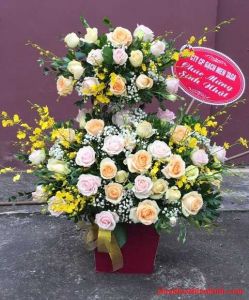 【TSG2702】 Địa chỉ tiệm hoa tại đường Cù Lao Quận Phú Nhuận