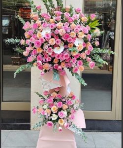 TKT110 - Hồng Phát