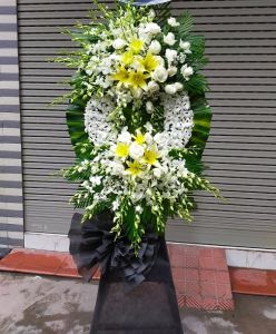 THV106 - Chia Buồn