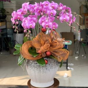 TLHD101 - Sự Lôi Cuốn