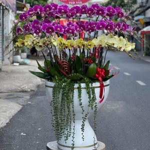 TLHD104 - Vẻ Đẹp Lộng Lẫy